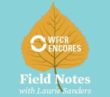 WFCR Encores - Field Notes with Laurie Sanders