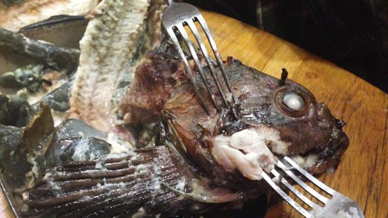 fish heads eat them up yum fish heads eat them up yum