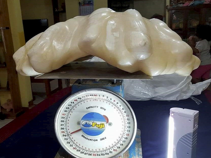 This giant pearl could be the biggest ever found in the world. The pearl reportedly weighs about 75 pounds and was discovered by a fisherman 10 years ago.