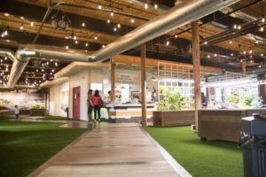 A path leads to the cafe in the middle of Mill180 Park in Easthampton. The park is designed to make visitors feel as though they are outside. (Katherine Davis-Young for NEPR)