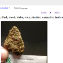The Short List: Craigslist Marijuana Sales, Sheriff Offers Prisoners For Wall Building, Millennial Politicians Try To Build Clout